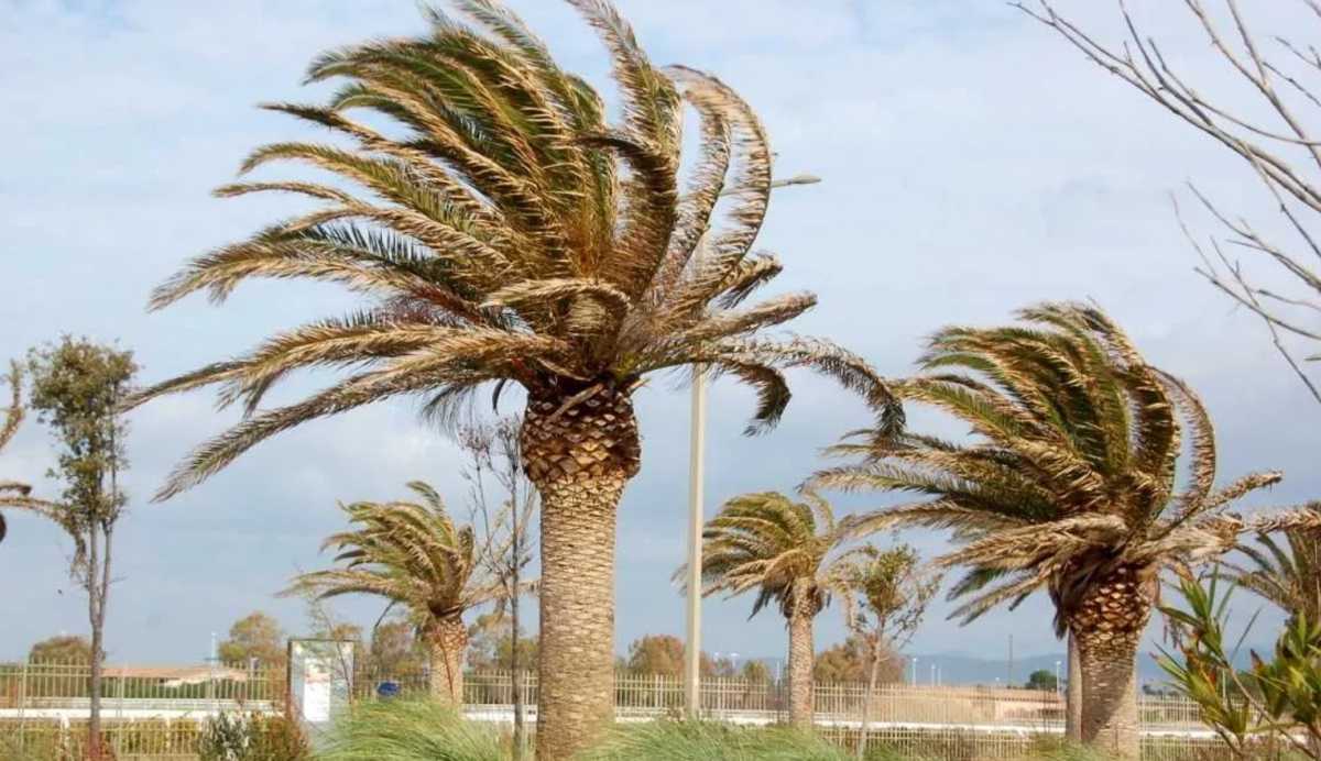 Immagine-2023-03-09-175334