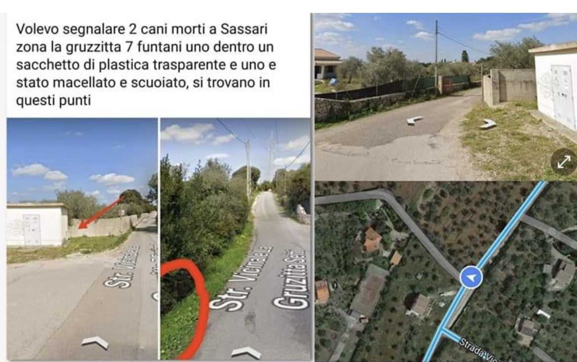 il-luogo-del-ritrovamento