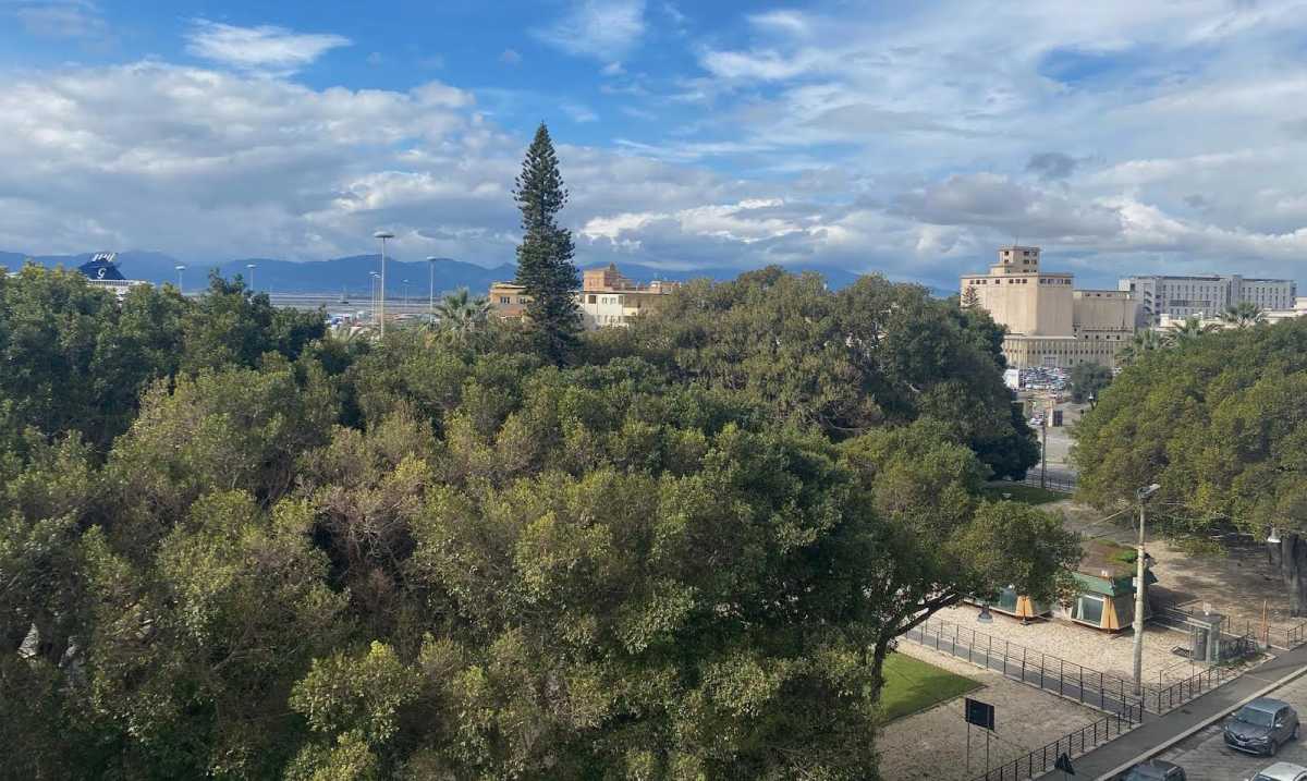 silos-viale-la-playa