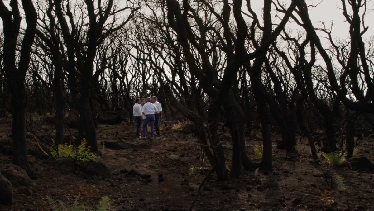 Lombra-del-fuoco---foto-1