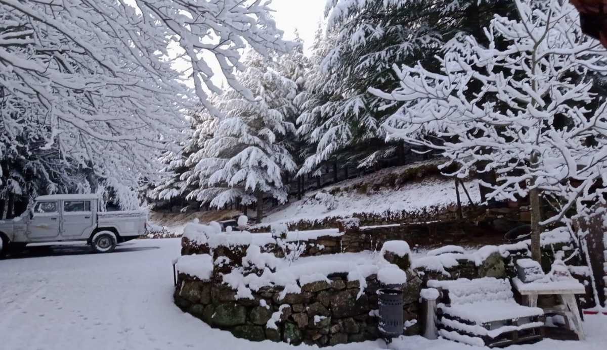 c8703649-ed01-49f4-ae7b-a0938074d86d