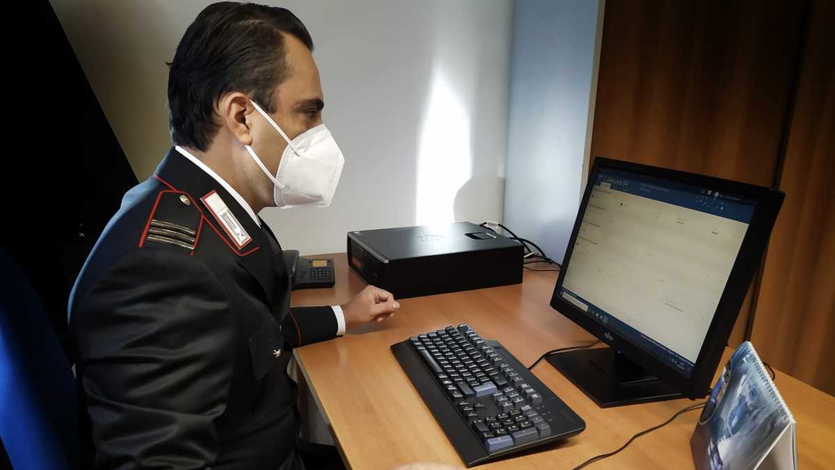 truffa-reddito-cittadinanza