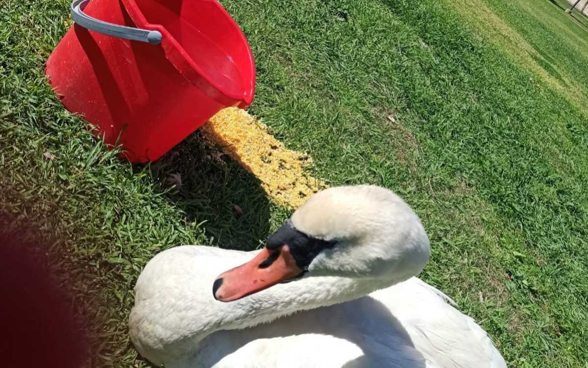 34523014813128656363033417337945177200950479n