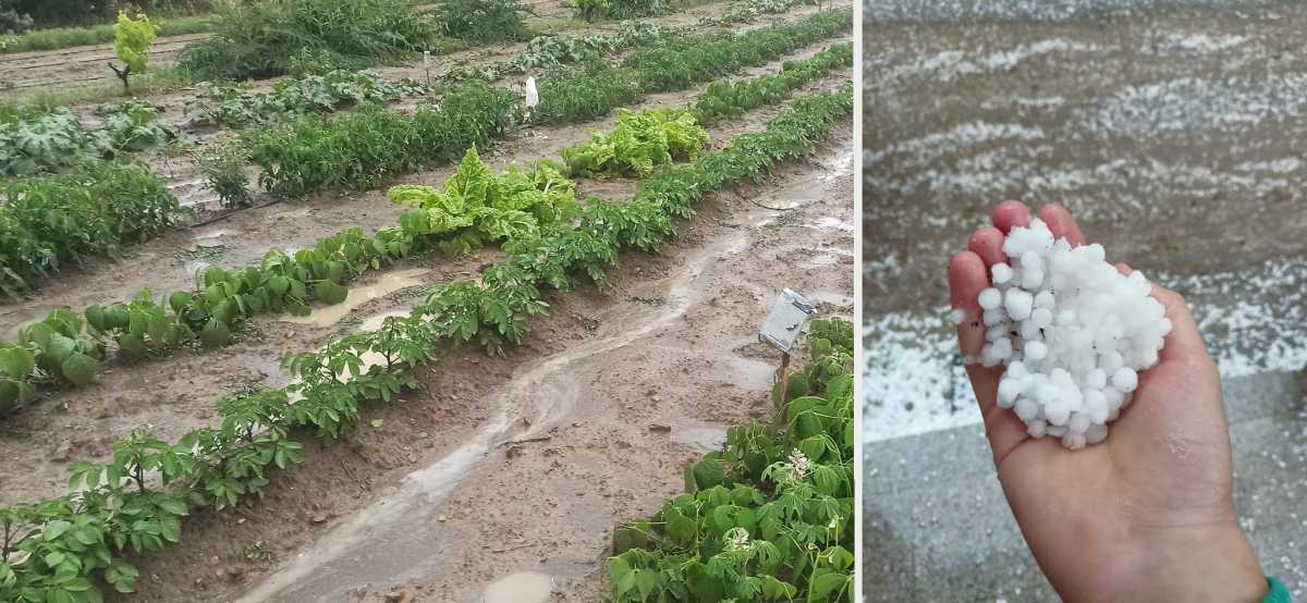 34945862630674199735662405851754062379082845n