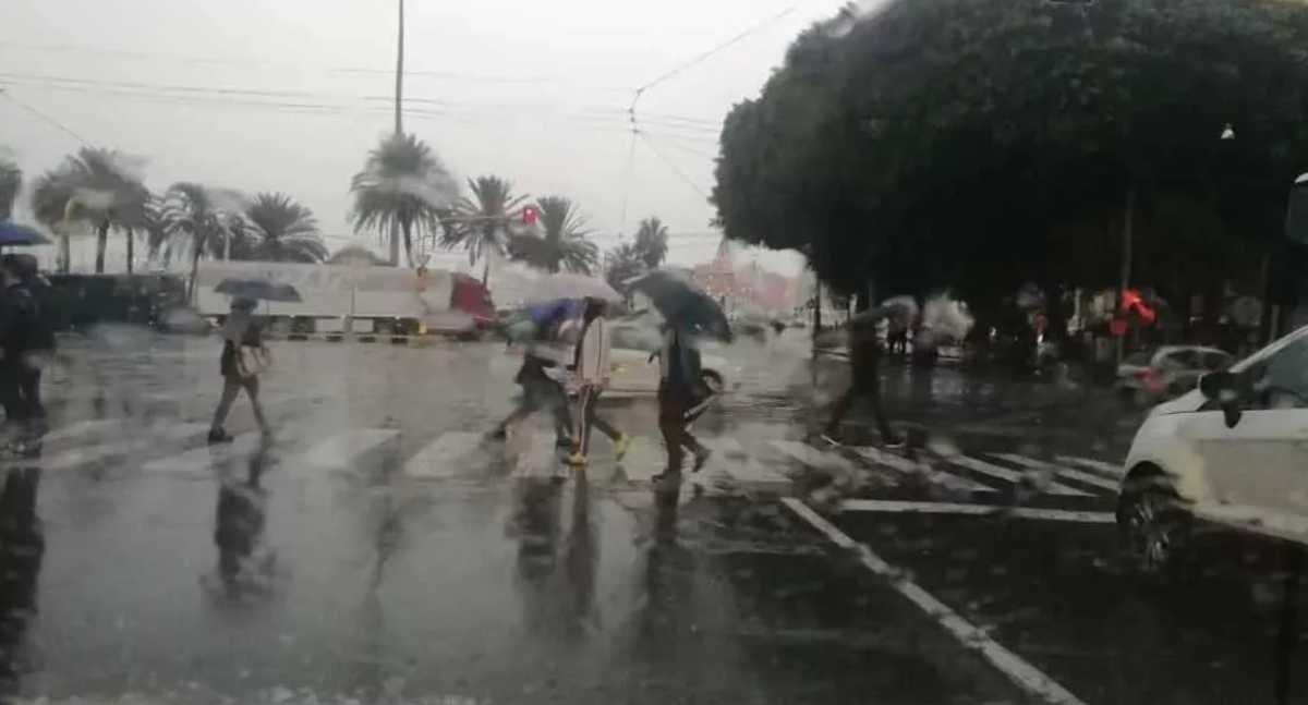 Immagine-2023-05-19-162703