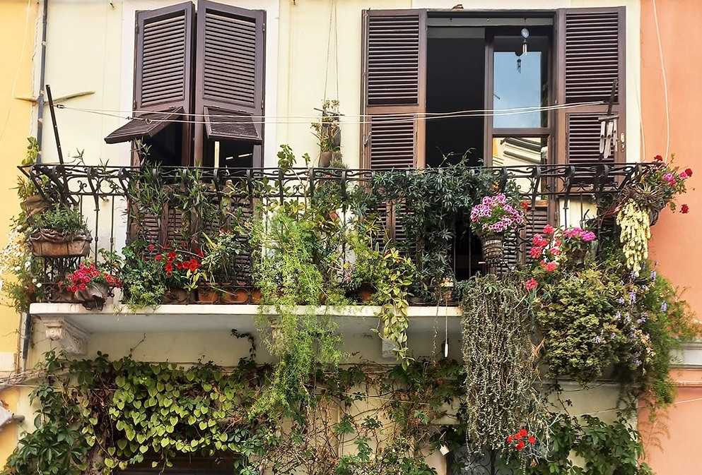 balconi-fioriti