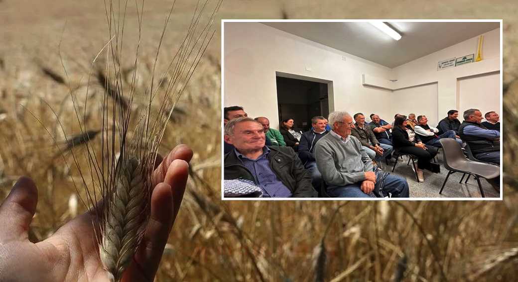 grano-e-rinuione-coldiretti