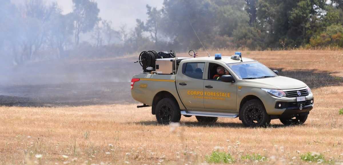 522176576033e87b8a6d2o