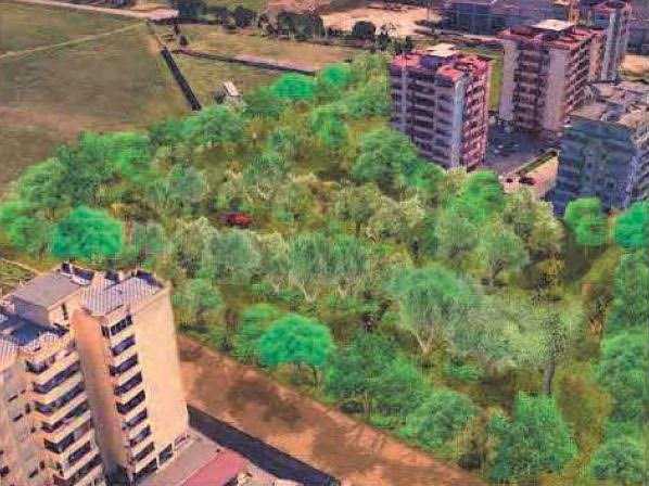 il-nuovo-polmone-verde