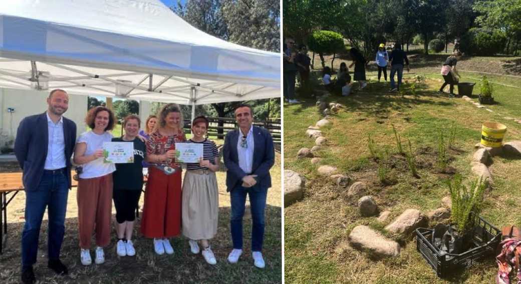 piante-green-scuole-