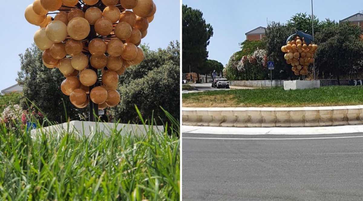 uva-rotonda-monserrato