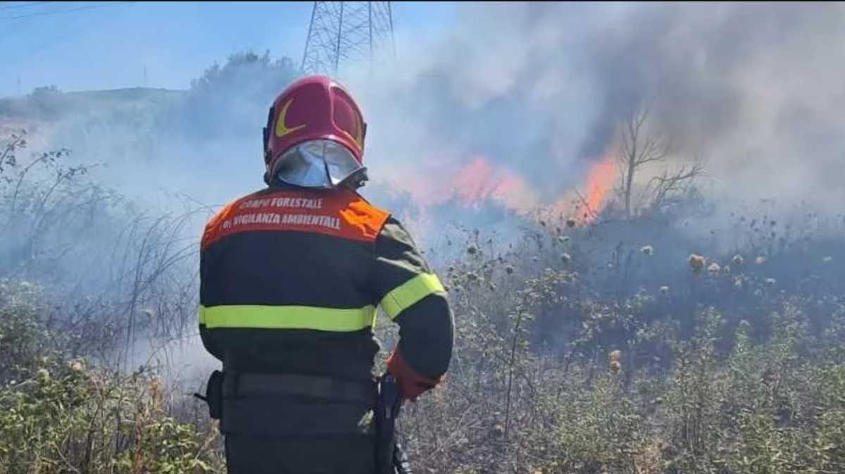 Immagine-2023-07-06-153556