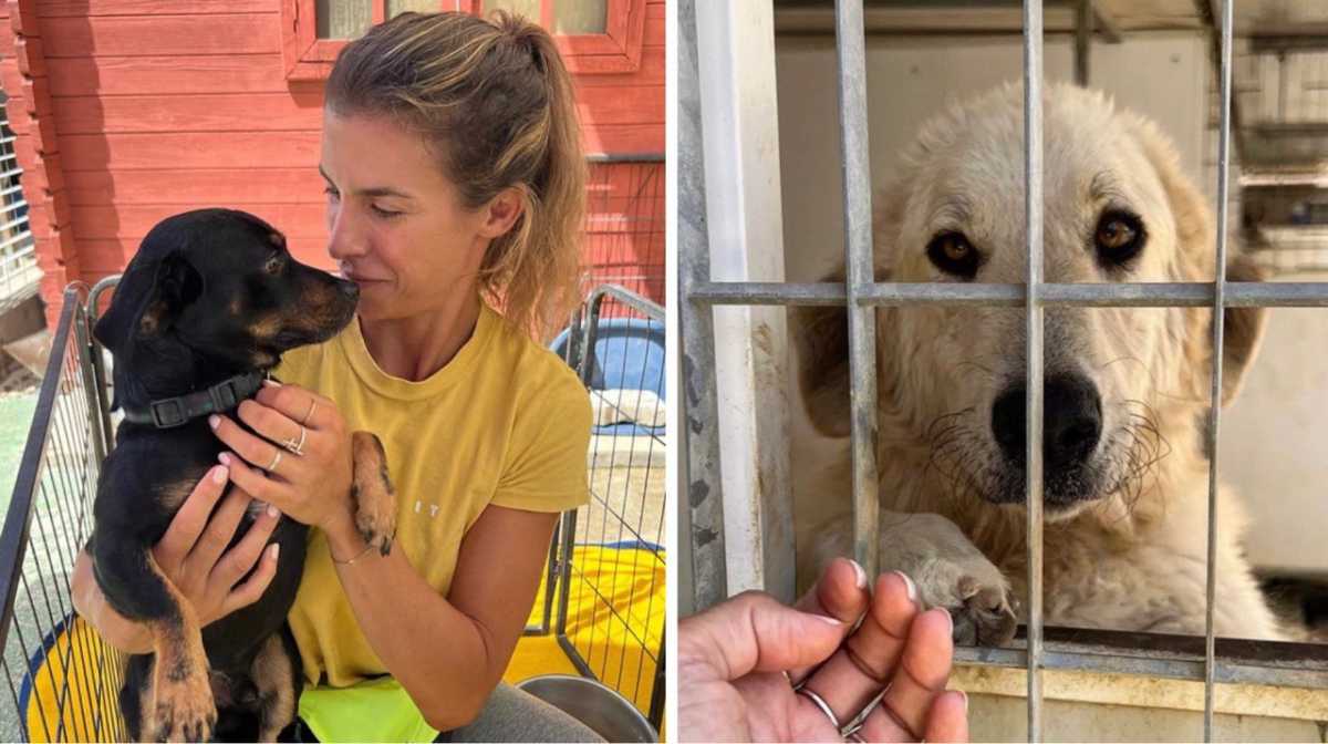 elisabetta-canalis-canile