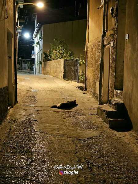 37056255528569819277748048581527237604714635n 37056255528569819277748048581527237604714635n