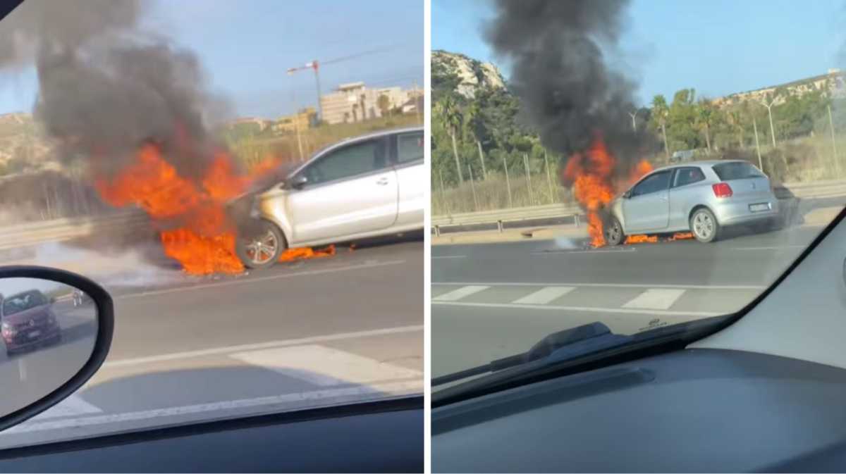 WhatsApp-Image-2023-08-11-at-085535