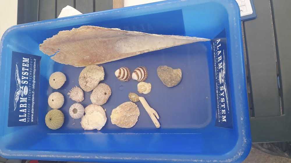 conchiglie-e-nacchera