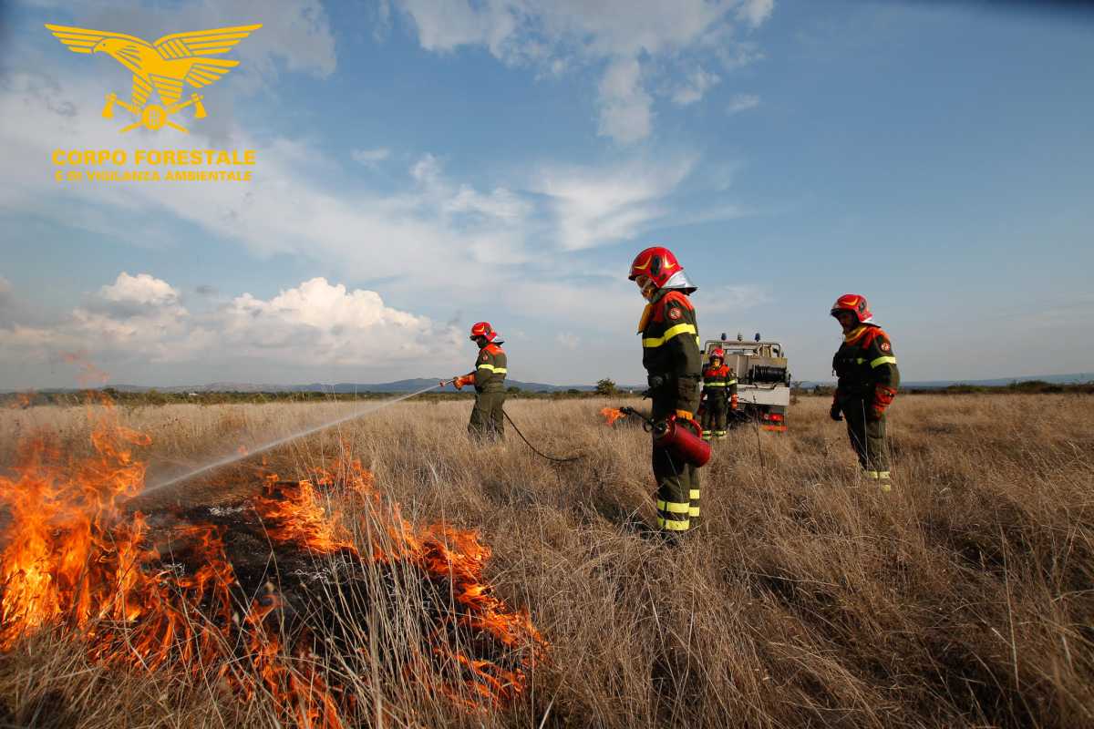incendio-sardegna-