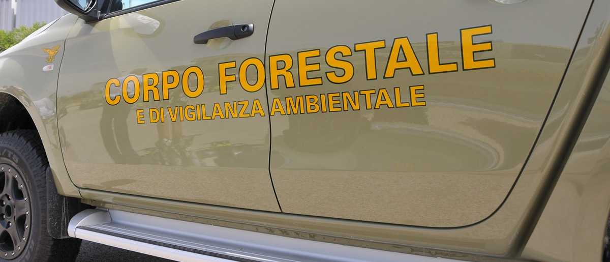 a68daeac-2fa1-47b1-bce2-870624bfda81-4