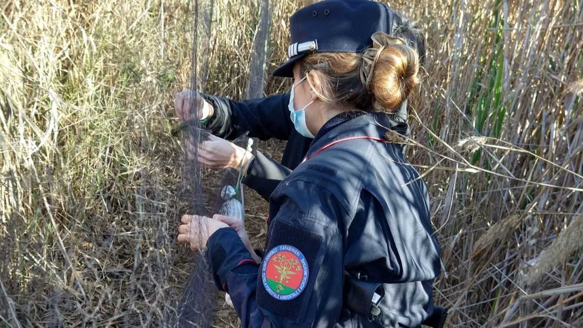 WhatsApp-Image-2023-12-30-at-083247