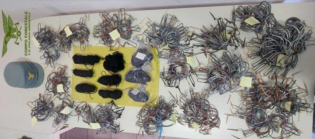 Controlli-bracconaggio