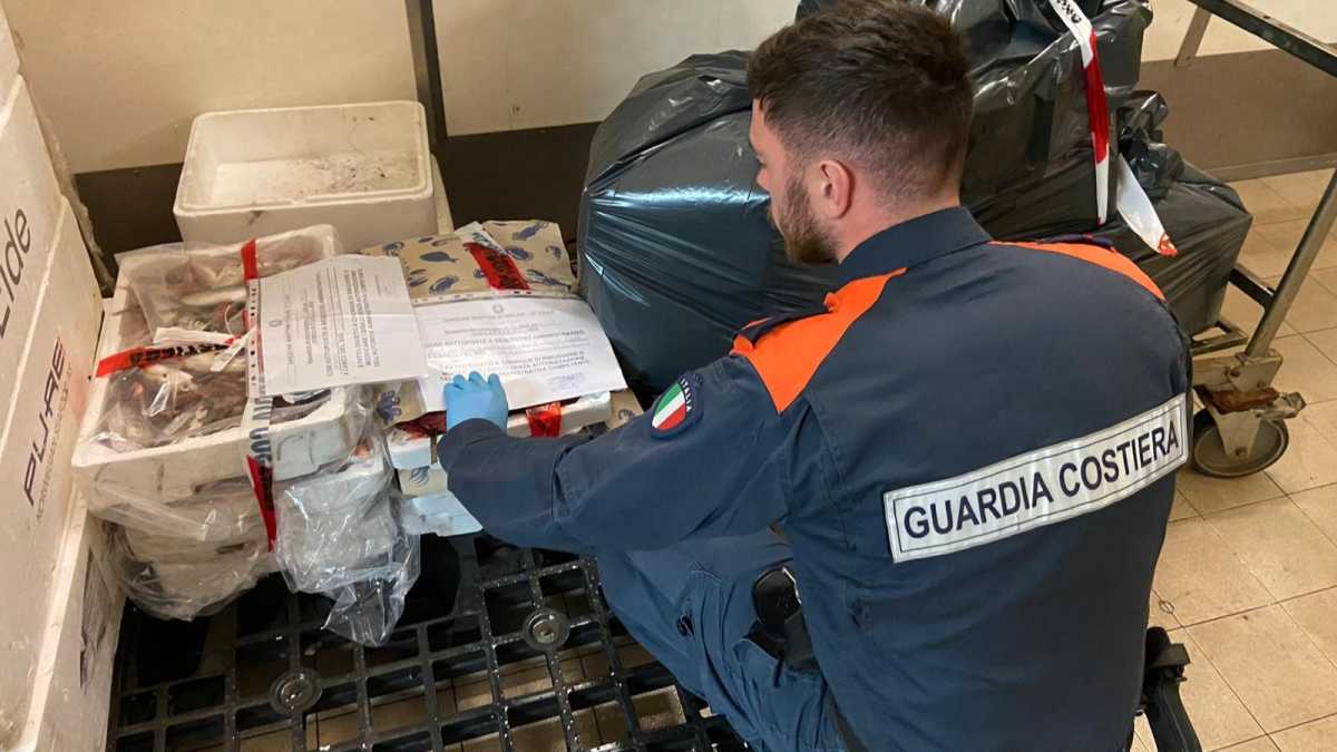 Foto Sequestro Spinnaker foto-sequestro-spinnaker