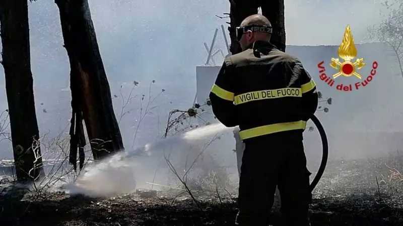 incendio-oliaspeciosa