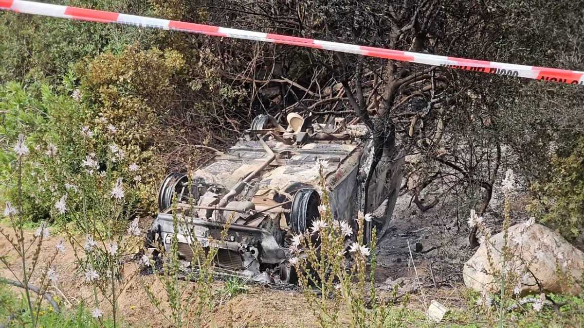 photo5783112218286604907y