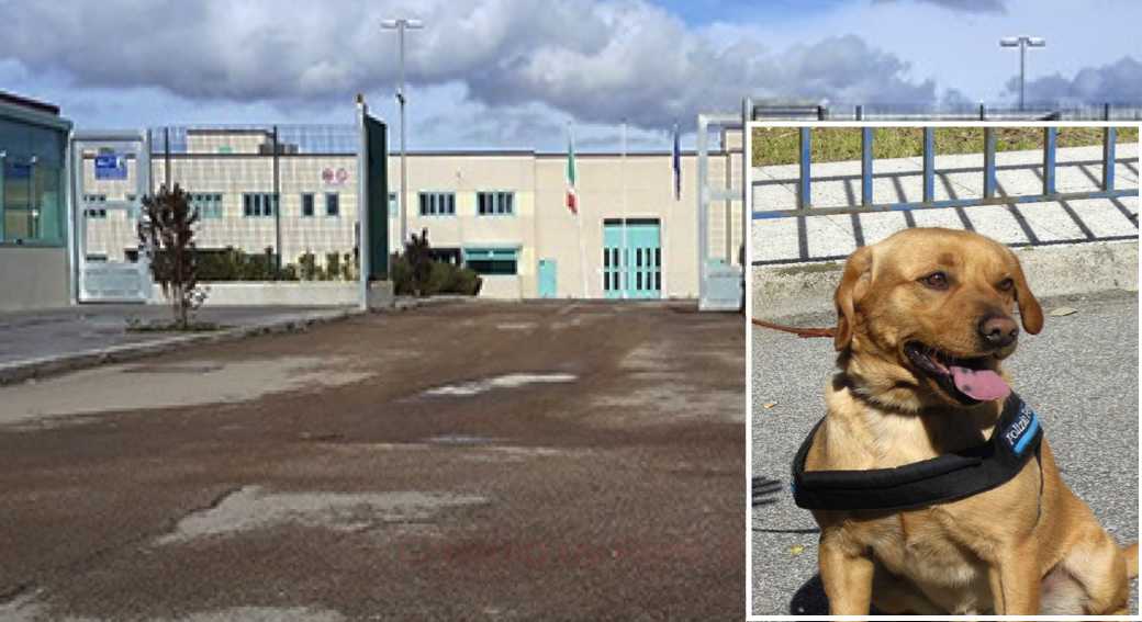 IL-CANE-E-IL-CARCERE