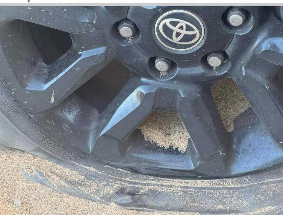 447760471102114007188106244737686957468591432n