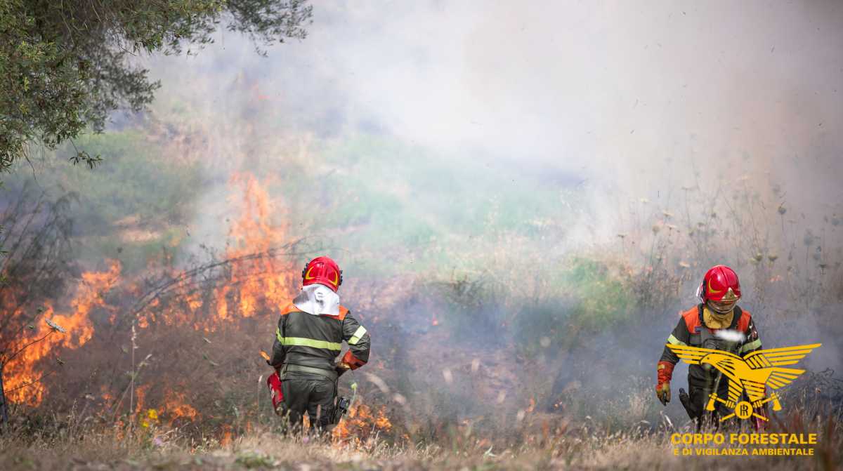 corpo-forestale-sardegna-archivio