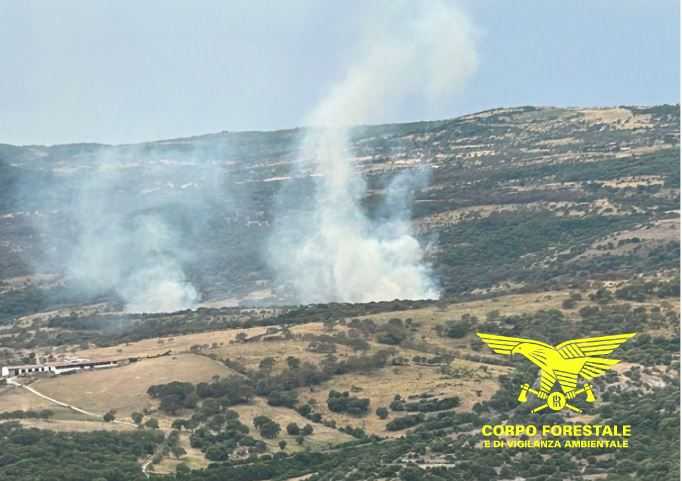 villanova-monteleone