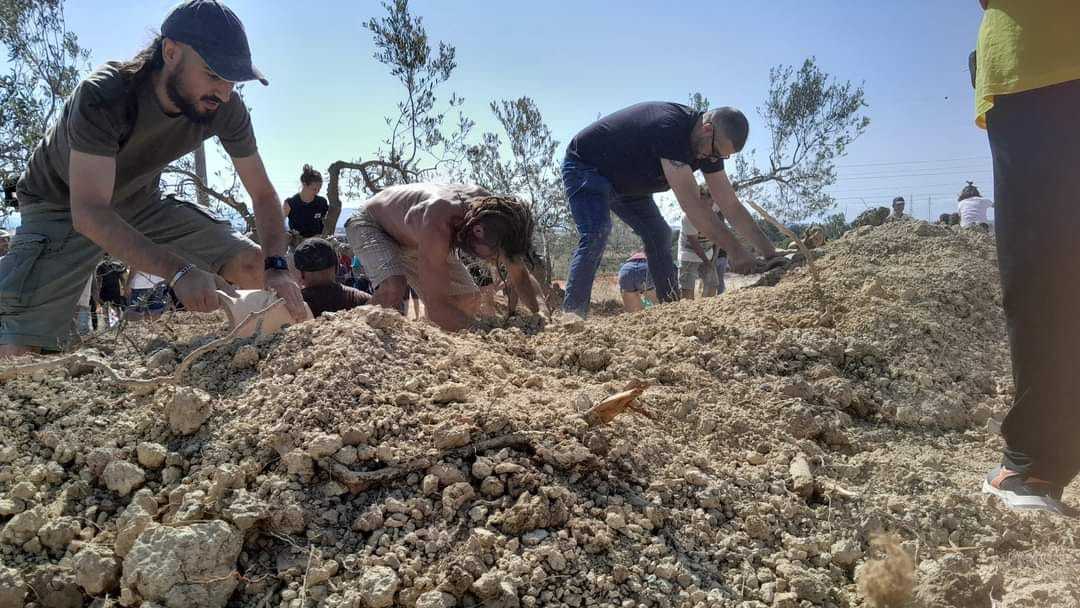 4503404681221160164023546251589317571281595331n