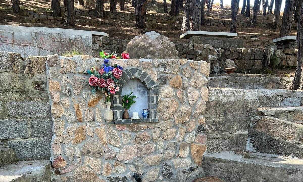 Immagine-WhatsApp-2024-07-12-ore-103153648fadd7