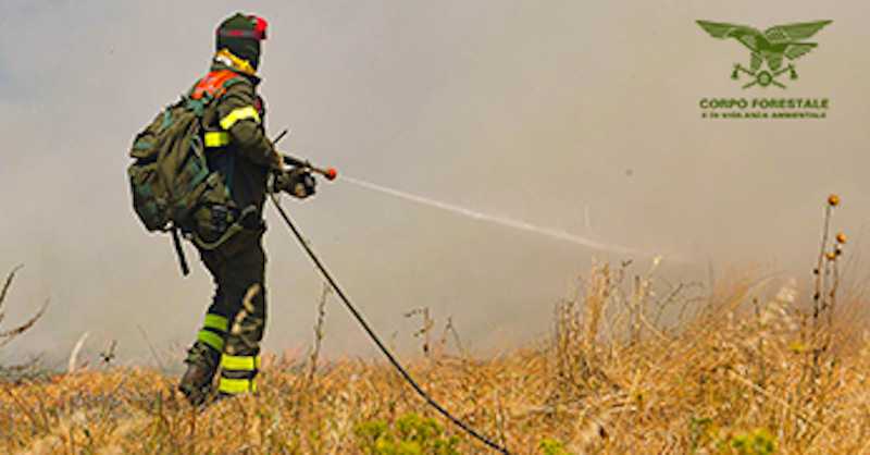 corpo-forestale-archivio-fuoco