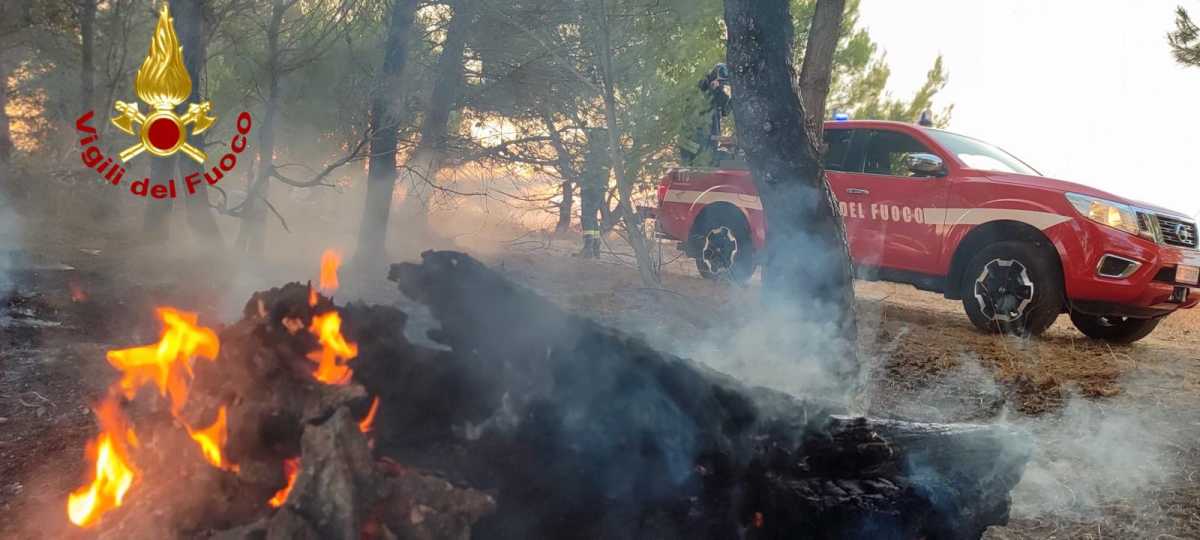 WhatsApp-Image-2024-08-09-at-071247