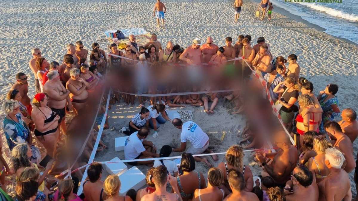 photo5947066796605555466y