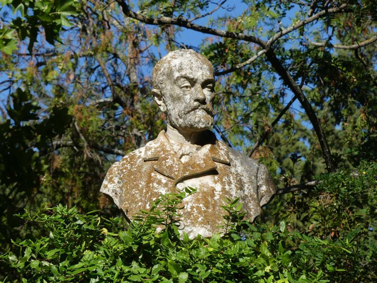 WhatsApp-Image-2024-09-28-at-083223-1