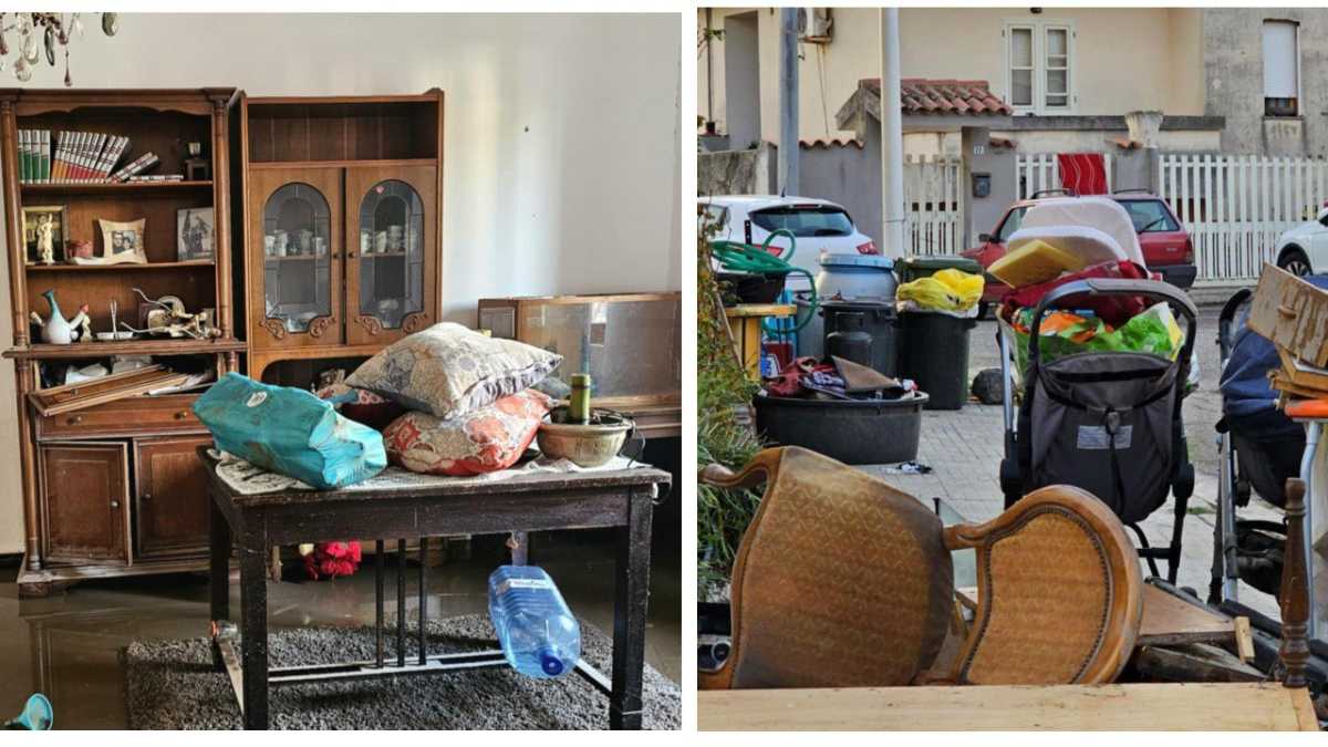 photo5839273236418905307y