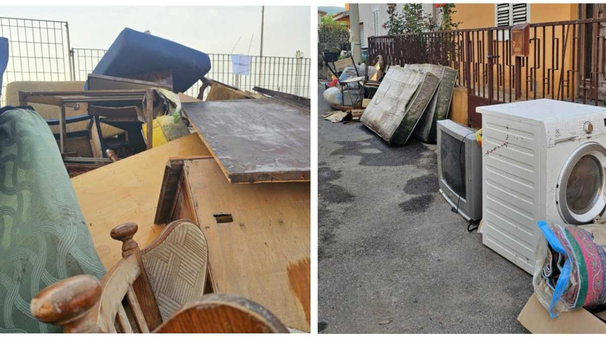 photo5839273236418905308y