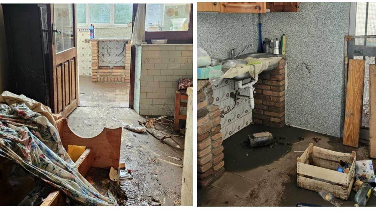 photo5839273236418905309y