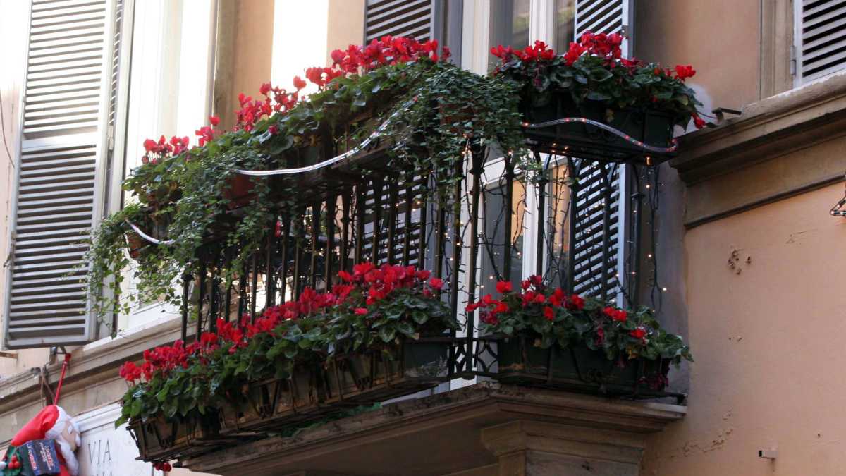 Balcone-con-fiori