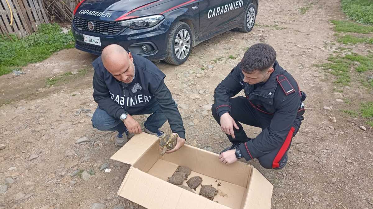 WhatsApp-Image-2024-11-20-at-123912-1