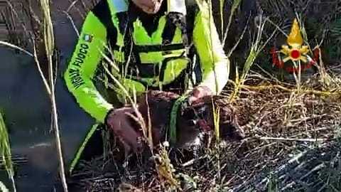 WhatsApp-Image-2024-12-05-at-190248