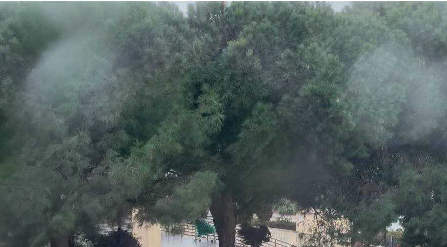 photo5992244921937020984y