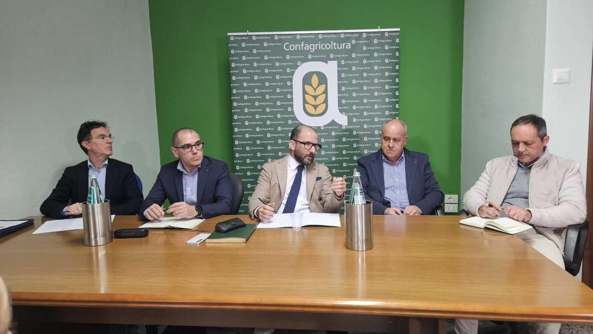 1-Da-sinistra---Pinna-Monne-Taras-Sanna-e-Nieddu