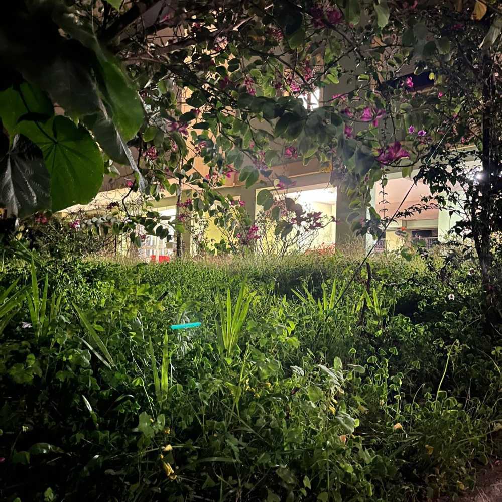 WhatsApp Image 2025 02 01 At 115734 WhatsApp-Image-2025-02-01-at-115734