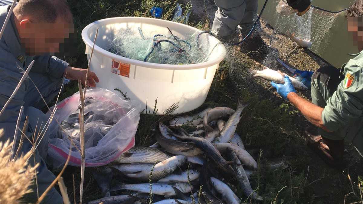 54351932178d578eed85eo