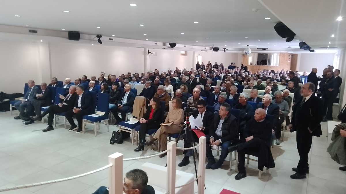 IMG20250307105429 IMG20250307105429