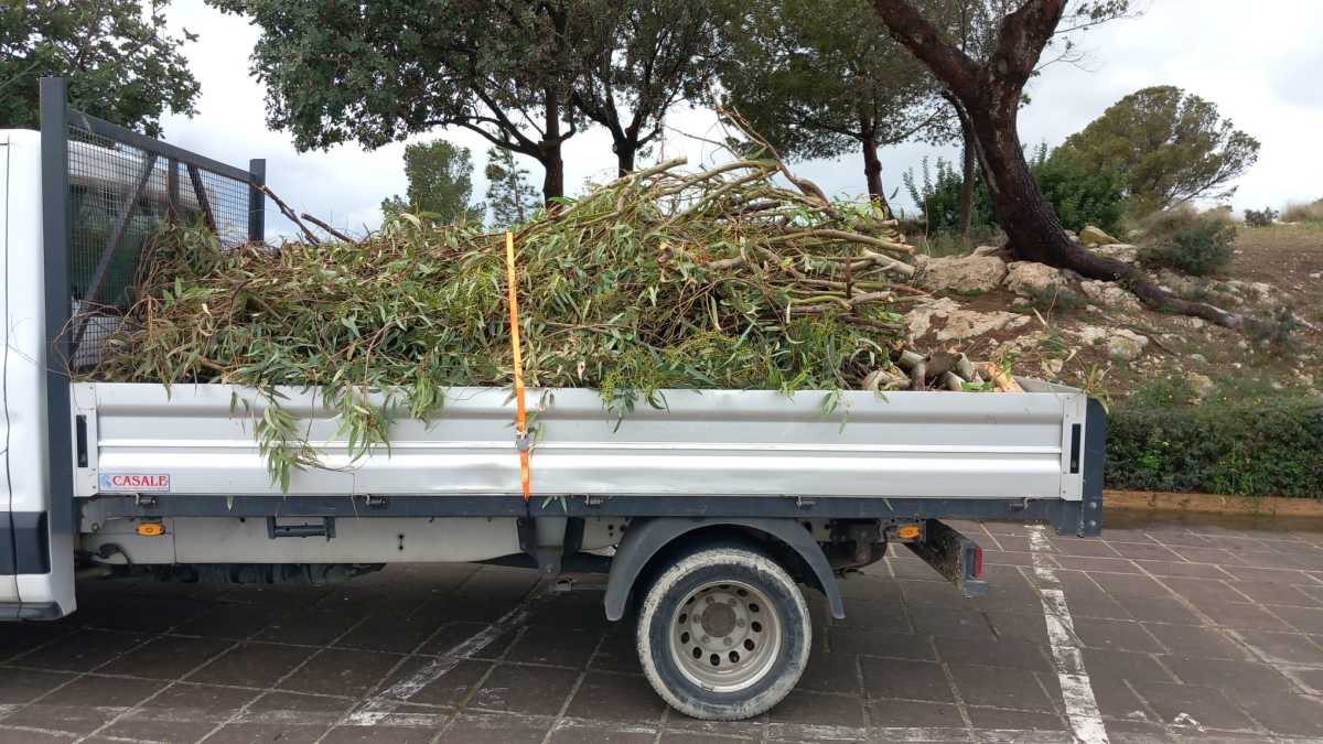 Via Giotto Pulita Via-Giotto-pulita