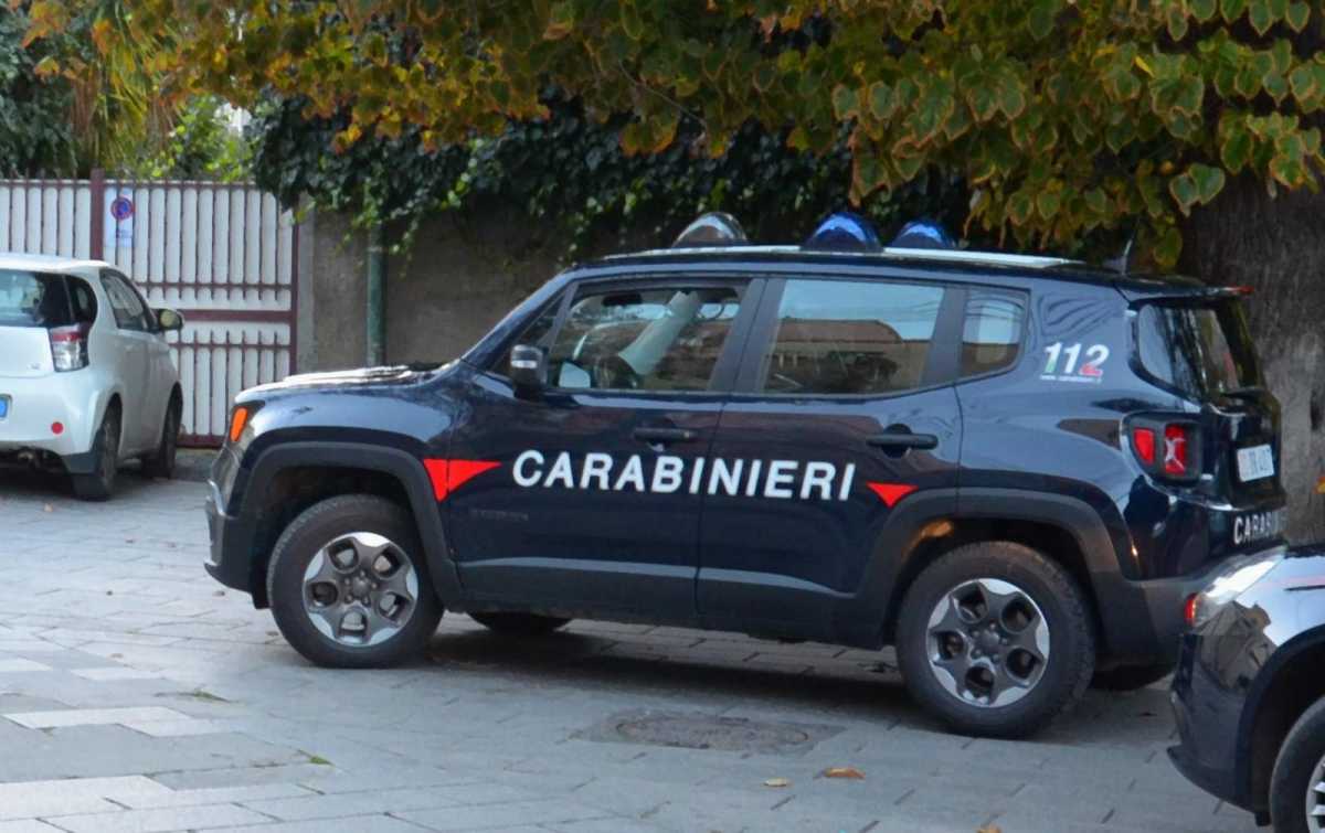 WhatsApp Image 2025 03 07 At 115747 WhatsApp-Image-2025-03-07-at-115747